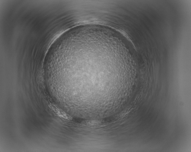 X0000051250879200507011649