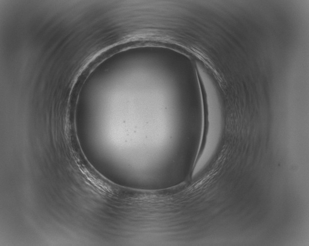 X0000051250880200507011649