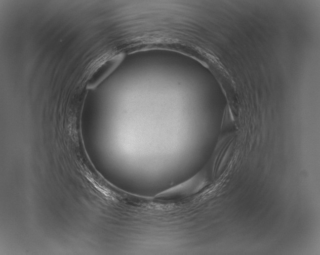 X0000051250881200507011649