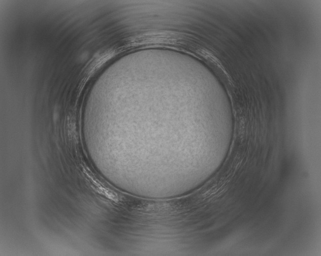 X0000051250882200507011649