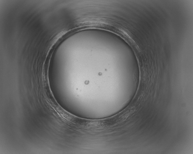 X0000051250883200507011649