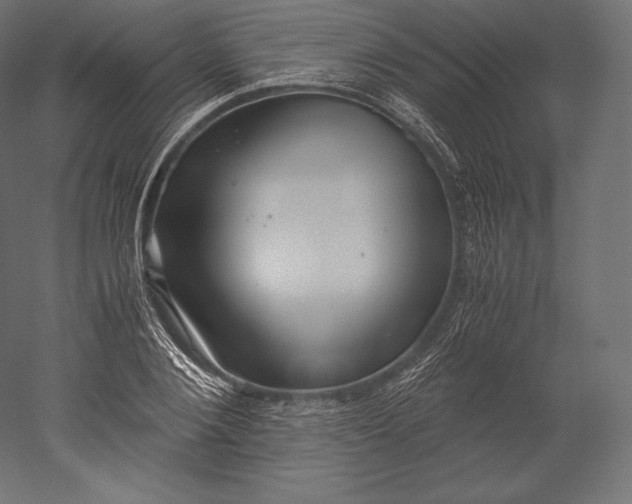 X0000051250884200507011649