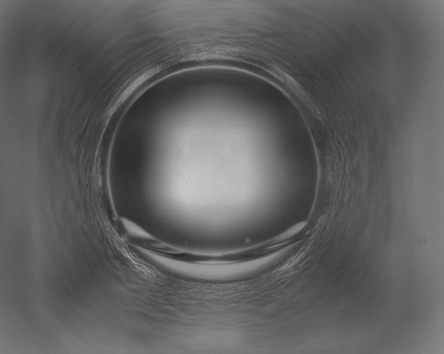 X0000051250885200507011649