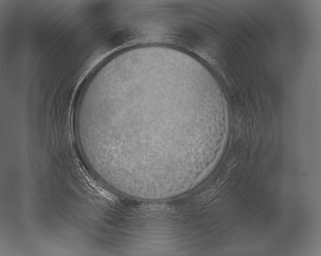 X0000051250886200507011649