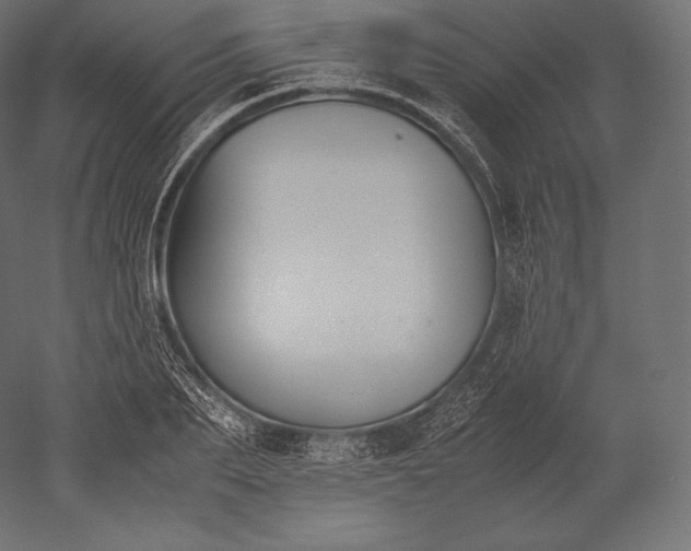 X0000051250887200507011649