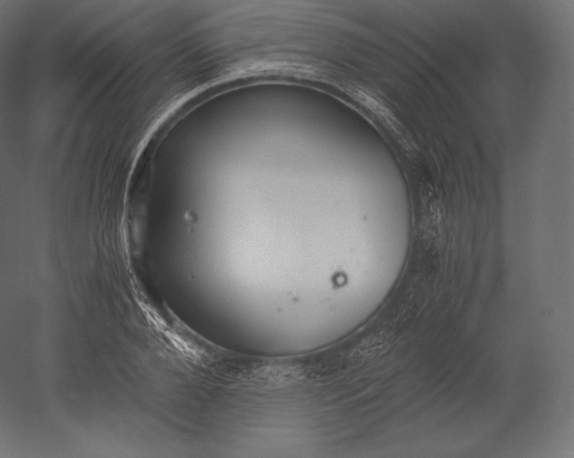 X0000051250888200507011649