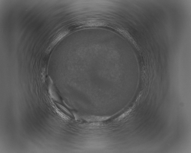 X0000051250889200507011649