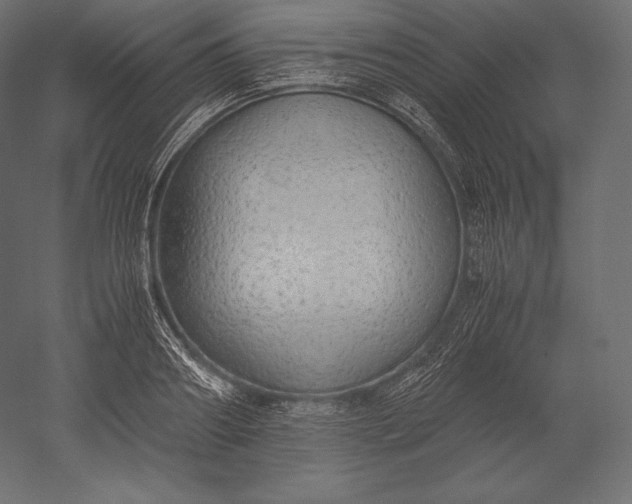 X0000051250890200507011649