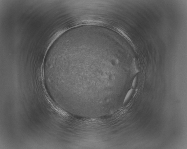 X0000051250891200507011649