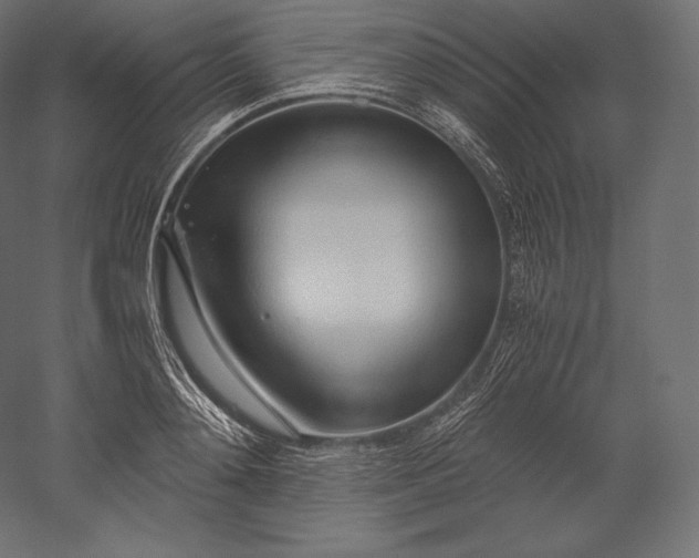 X0000051250892200507011649