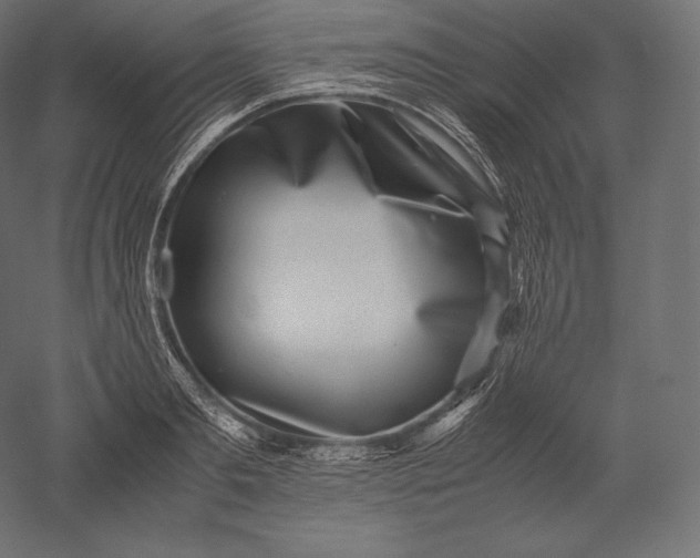 X0000051250893200507011649