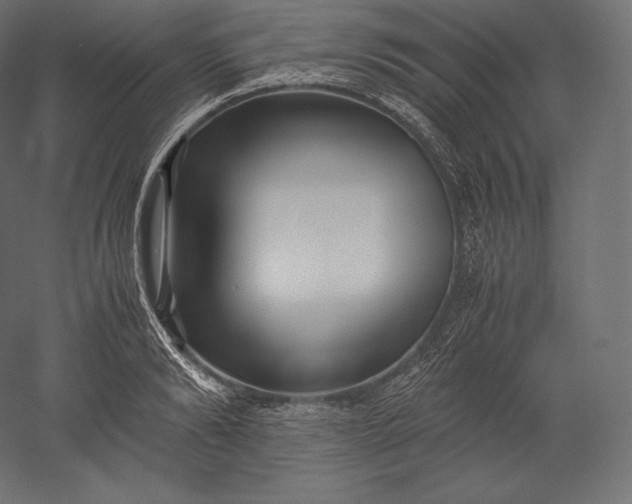 X0000051250894200507011649