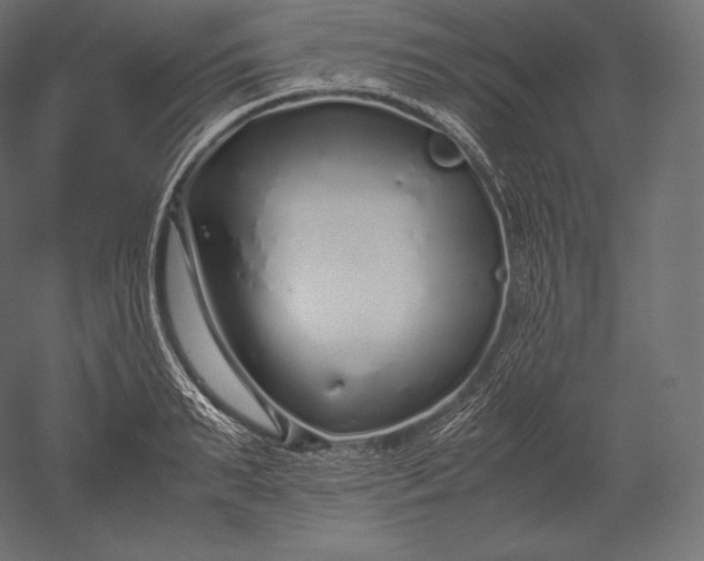 X0000051250895200507011649