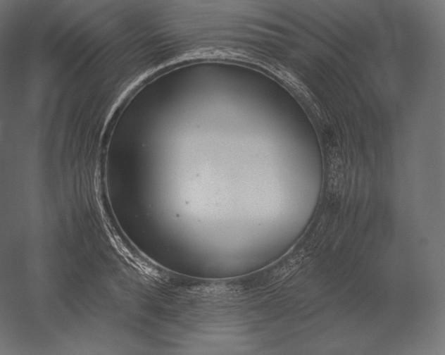 X0000051250896200507011649