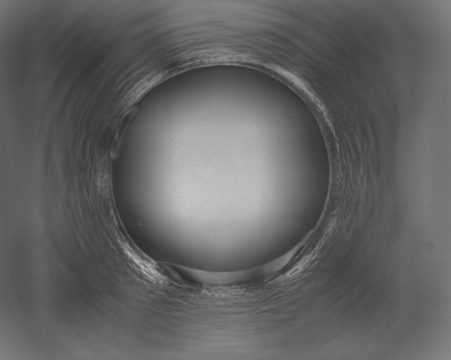 X0000051250897200507011649