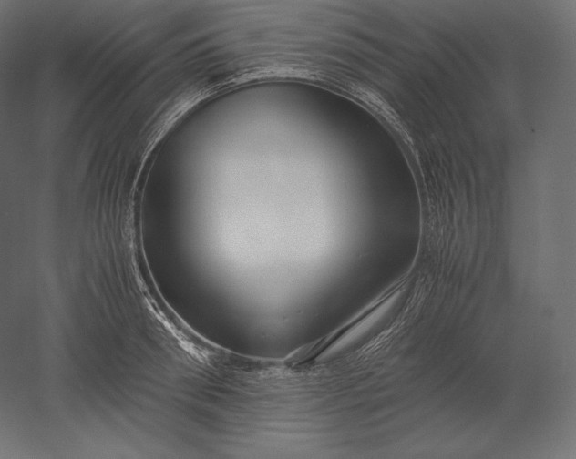 X0000051250898200507011649