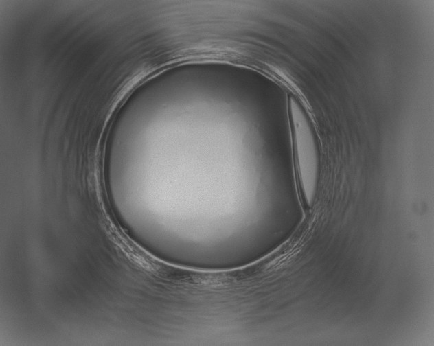 X0000051250899200507011649