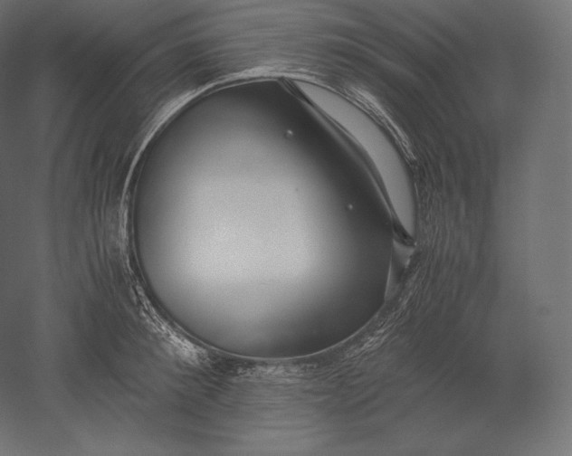 X0000051250900200507011649