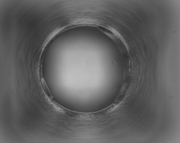 X0000051250901200507011649