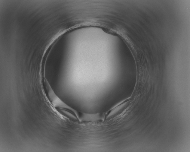 X0000051250902200507011649