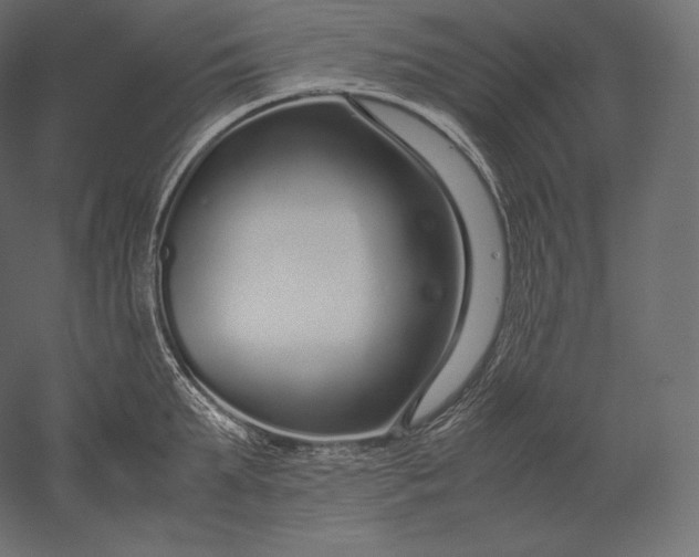 X0000051250903200507011649