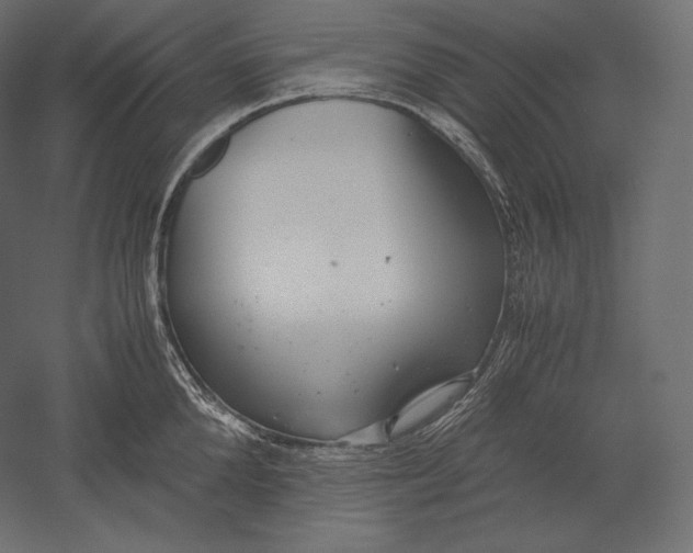 X0000051250904200507011649