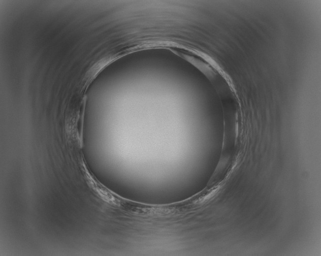 X0000051250905200507011649