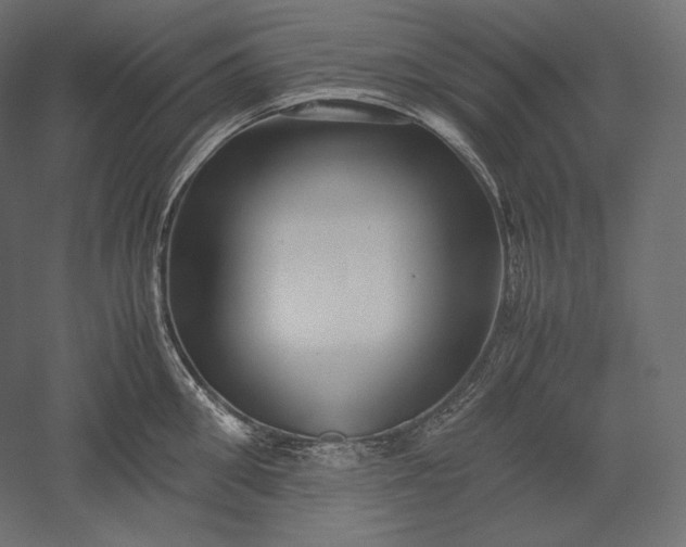 X0000051250906200507011649