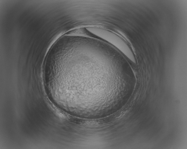 X0000051250907200507011649