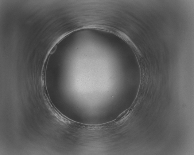 X0000051250908200507011649