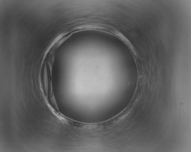 X0000051250909200507011649