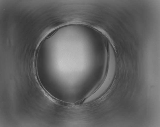 X0000051250910200507011649