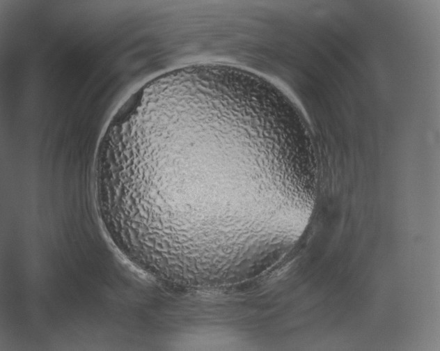 X0000051250911200507011649