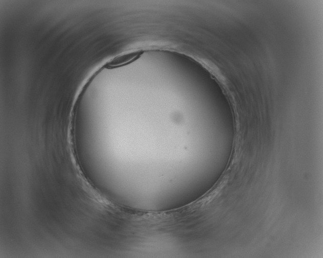 X0000051250912200507011649