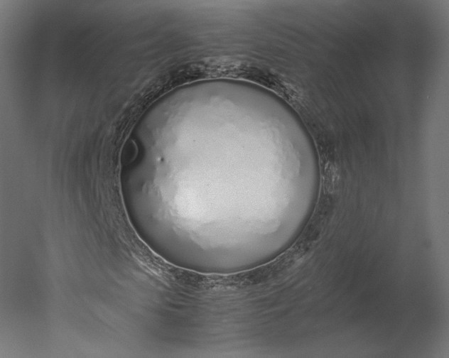 X0000051250913200507011648