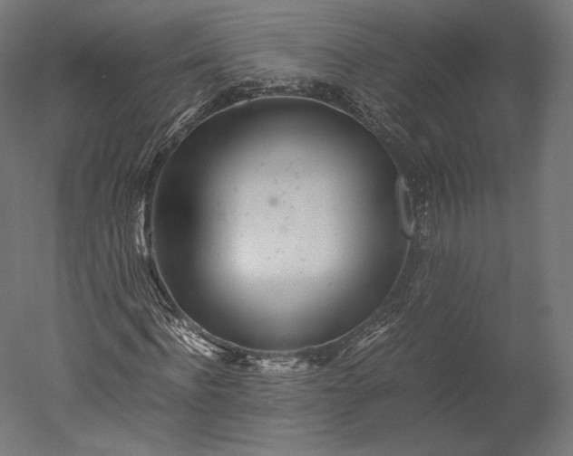 X0000051250916200507011648