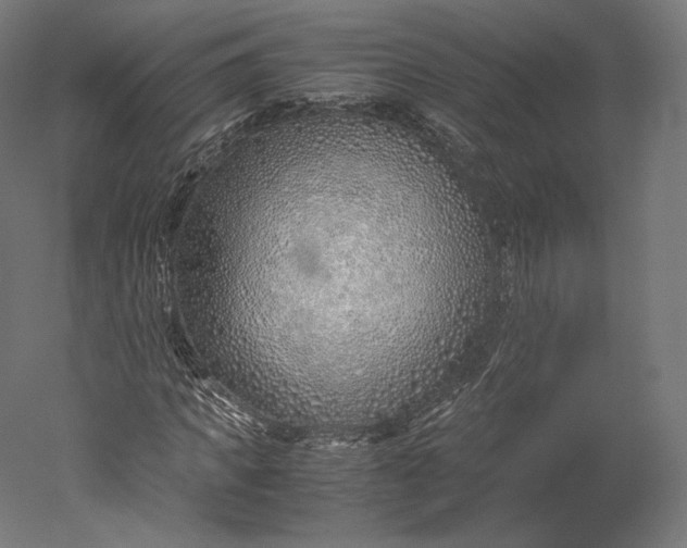 X0000051250917200507011648