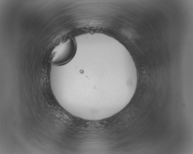 X0000051250918200507011648