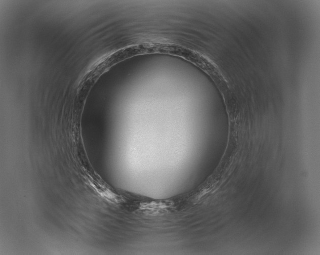 X0000051250919200507011648