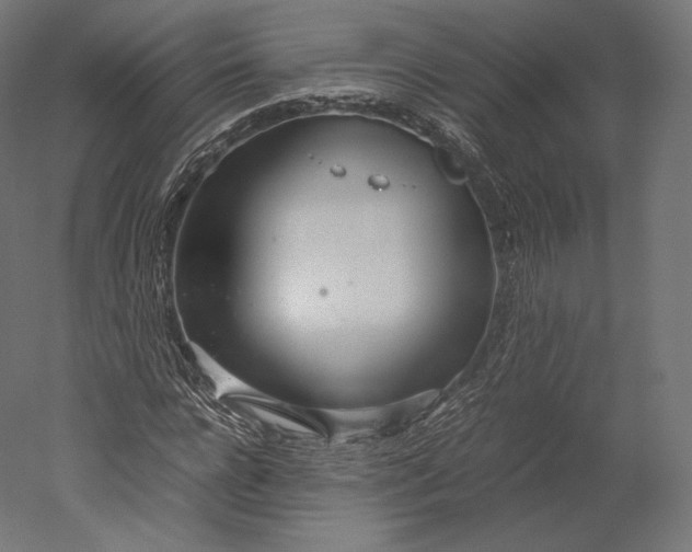 X0000051250920200507011648