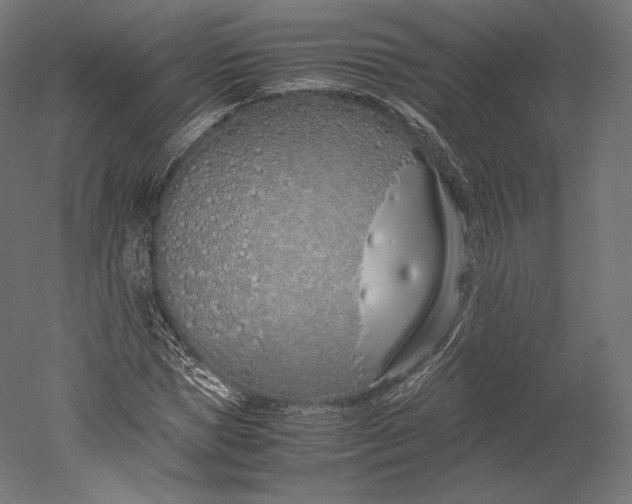 X0000051250921200507011648