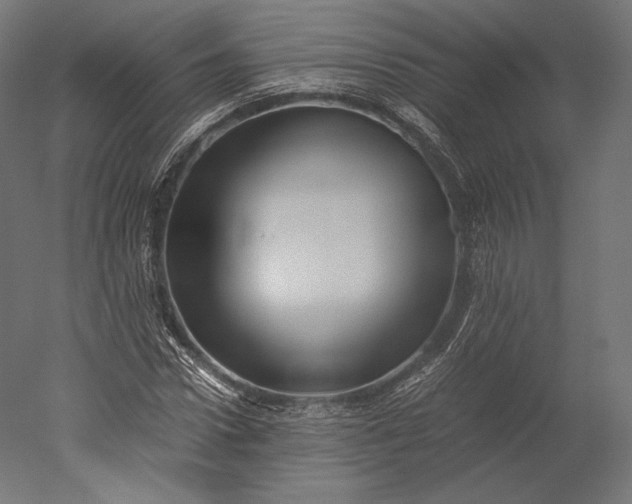 X0000051250922200507011648