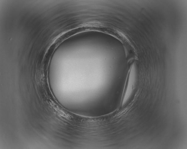 X0000051250923200507011648