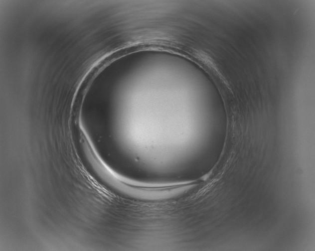 X0000051250924200507011648