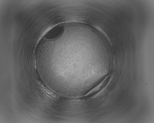 X0000051250925200507011648