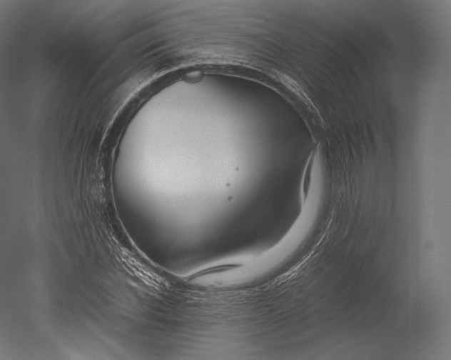 X0000051250926200507011648