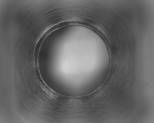 X0000051250927200507011648