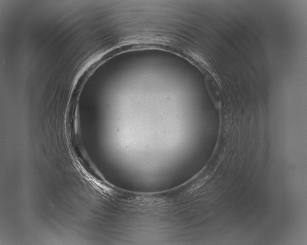 X0000051250928200507011648