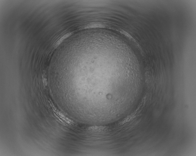 X0000051250929200507011648