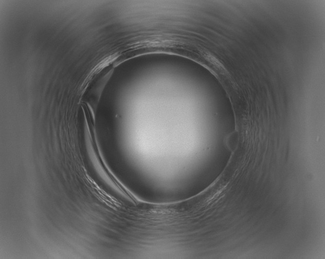 X0000051250930200507011648